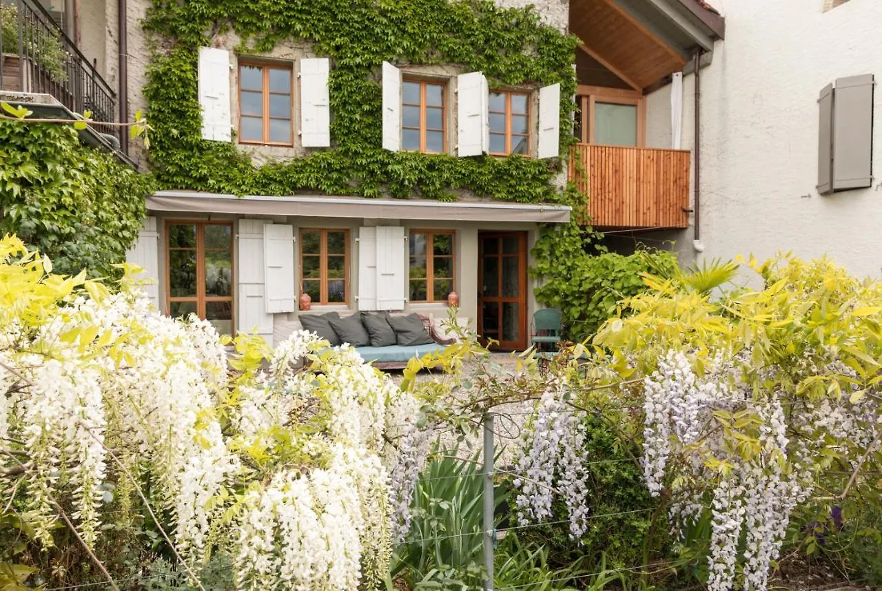Wonderlandscape Guest House Le Grand Saconnex